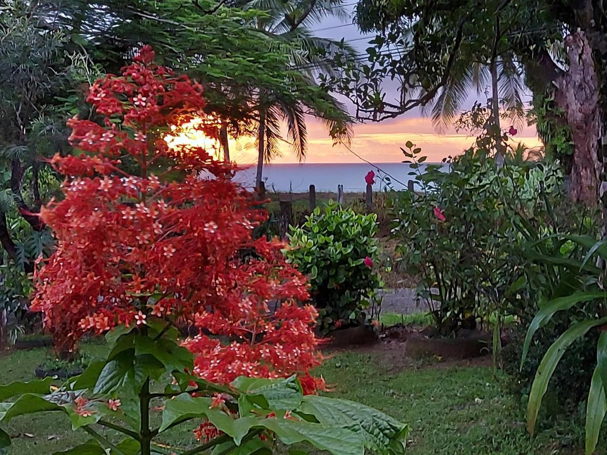Hotel Gitana Corcovado, Y Tour Operador Drake Bay Exterior foto